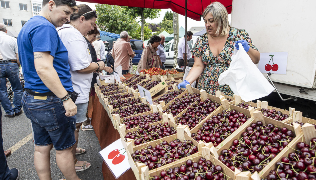 La nueva edición de la Feira das Cereixas se celebrará en Paiosaco el domingo día 5 de julio