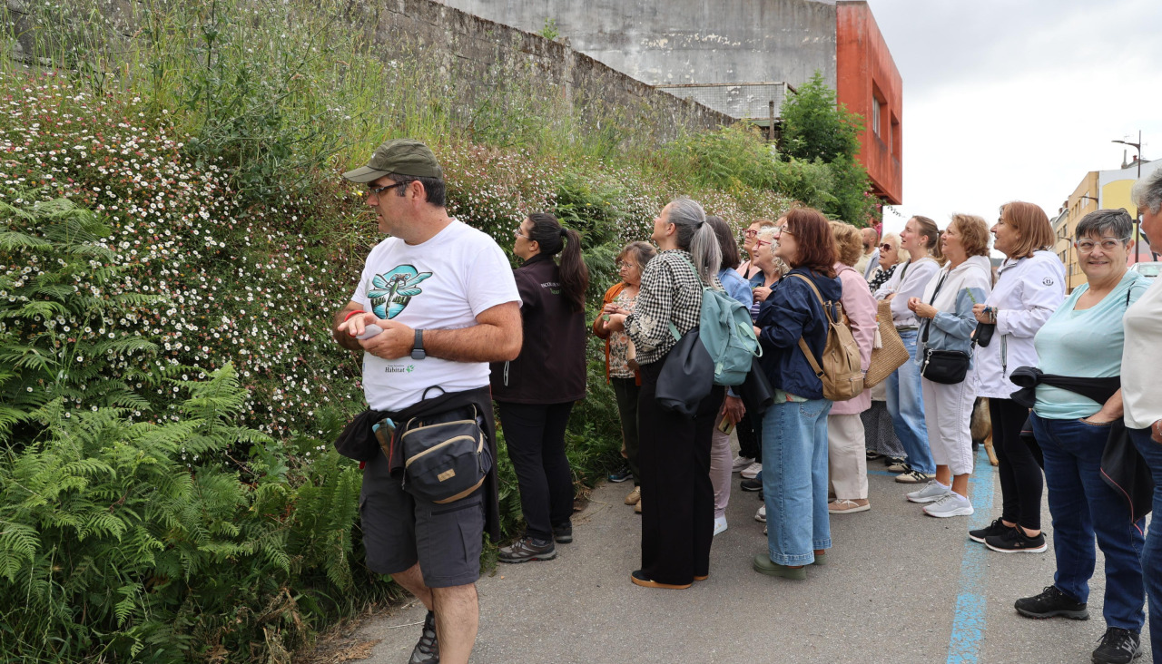 Salida para recoger las hierbas de San Xoán este jueves