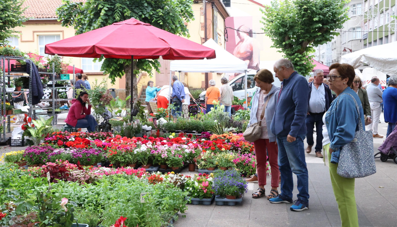 Feira en Carballo