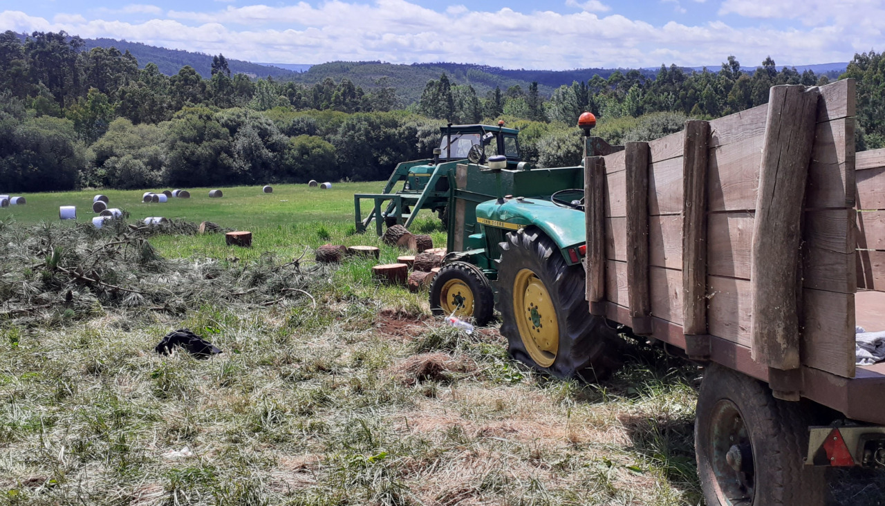 La zona del accidente con el tractor en Carballo