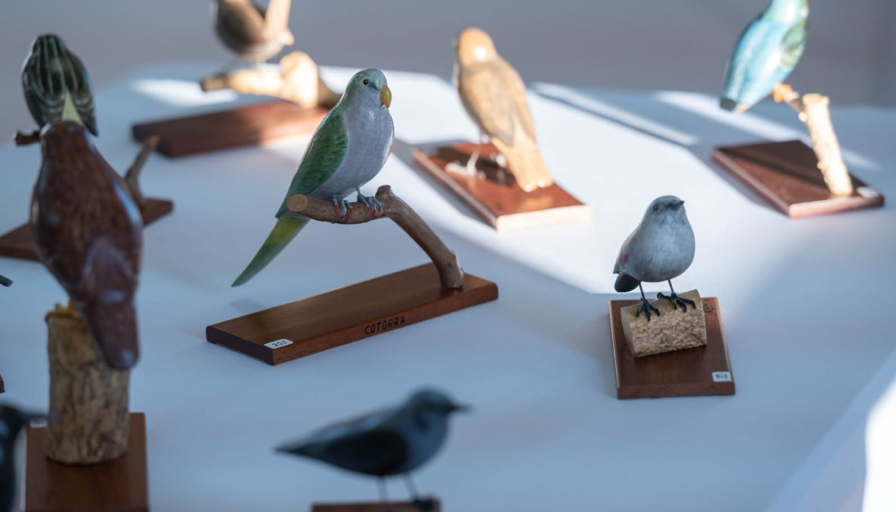 Exposición de Manuel Canosa en Cee