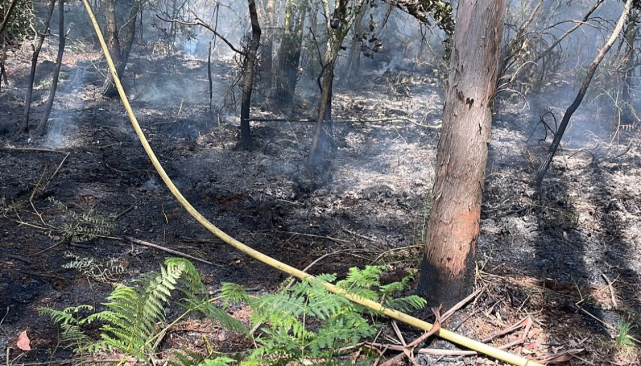 Incendios en Zas