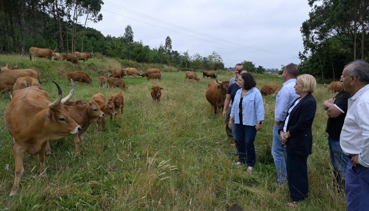 Visita de Belén do Campo a Ponteceso (3)