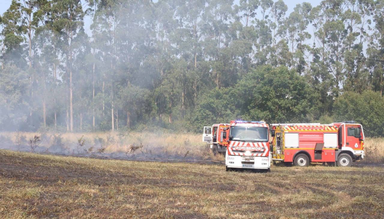 Incendio en la carretera de Razo, en Carballo