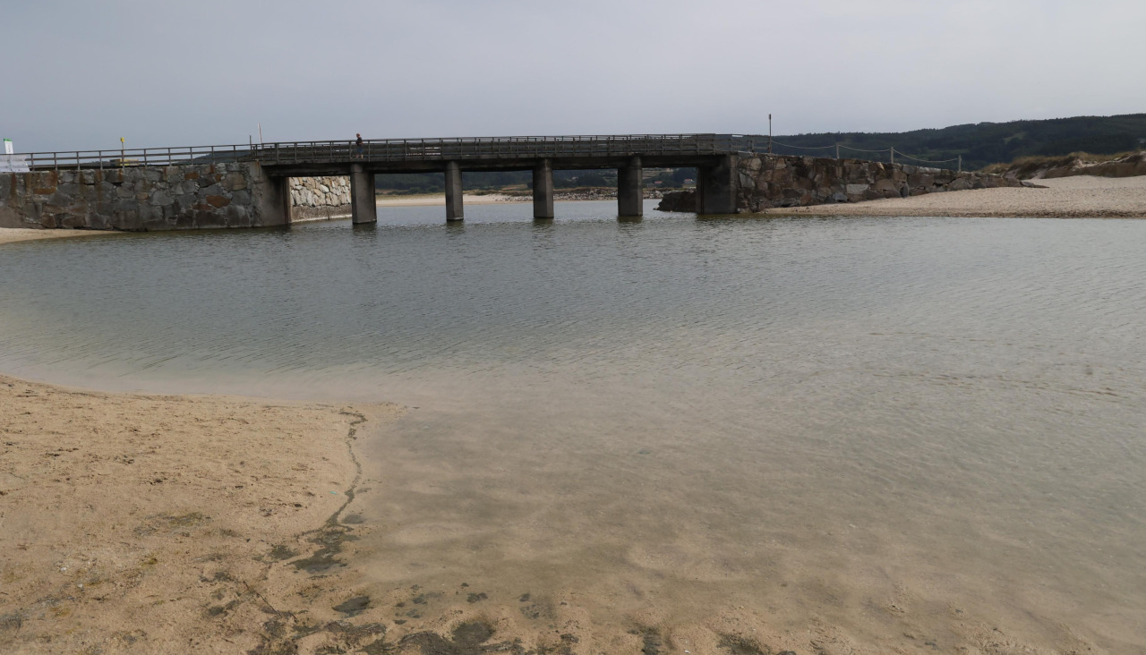 El agua y el olor del agua de la laguna ha espantado a los bañistas