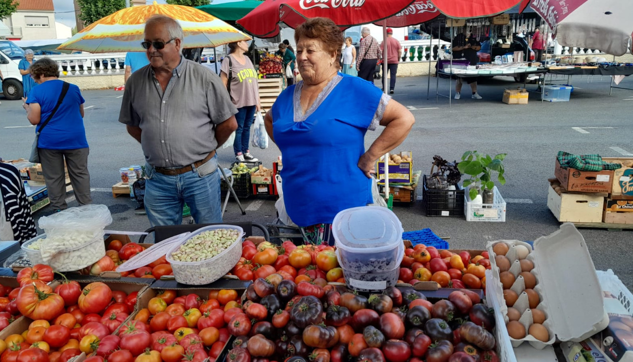 El kilo de tomate en Paiosaco osciló este domingo entre los 2 y los 6,5 euros, según la variedad