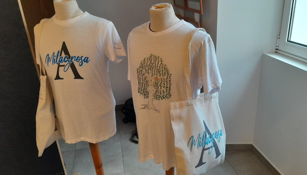 Camiseta fiestas A Milagrosa
