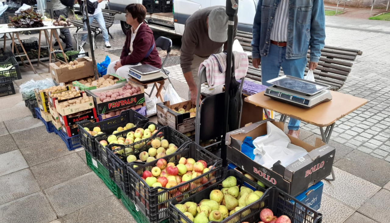 Ferias (2)