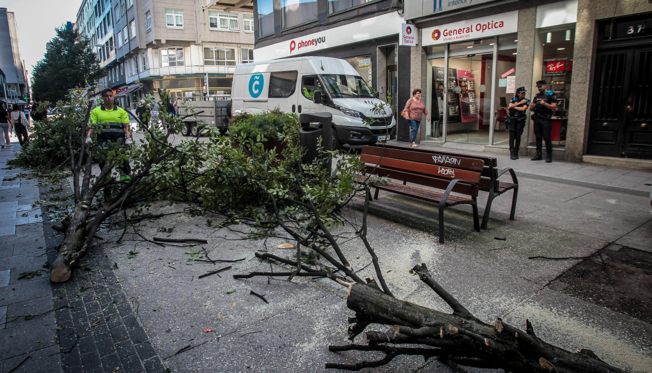 quintana. Ã¡rbol caÃ­do en la calle Barcelona
