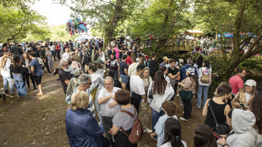 Festa do bosque 026