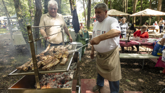 Festa do bosque 009