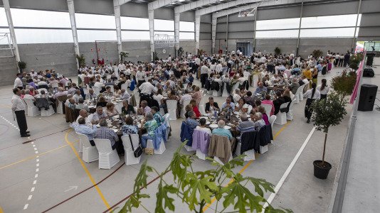 Comida cancer laracha 026