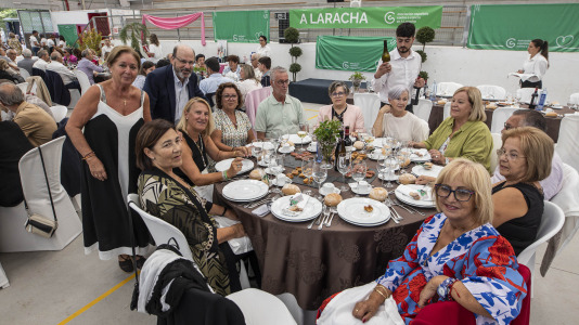 Comida cancer laracha 004