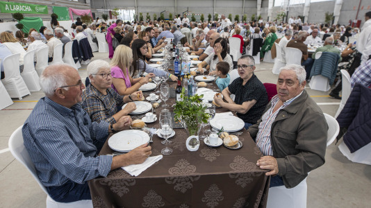 Comida cancer laracha 022