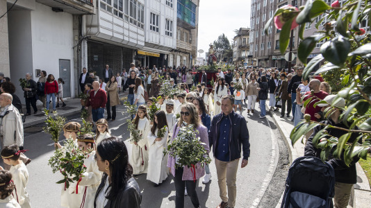 Domingo ramos 023
