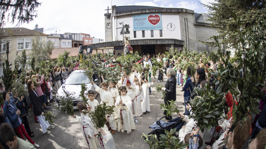 Domingo ramos 014