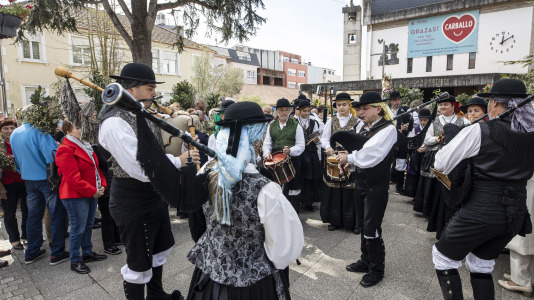 Domingo ramos 020