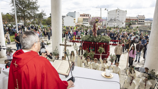 Domingo ramos 033