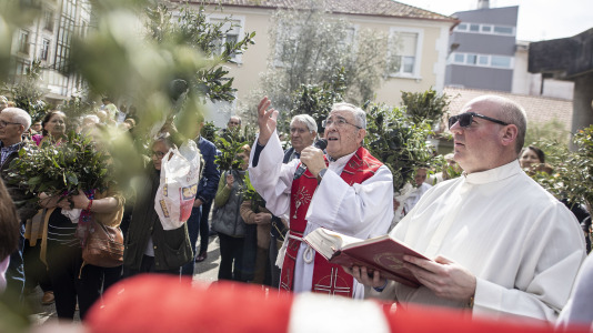 Domingo ramos 016