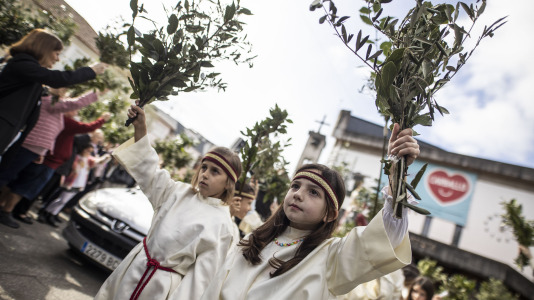 Domingo ramos 015