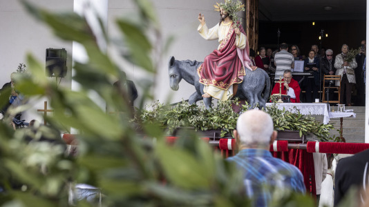 Domingo ramos 034