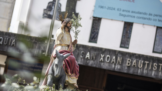 Domingo ramos 010