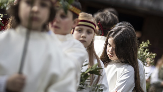 Domingo ramos 005