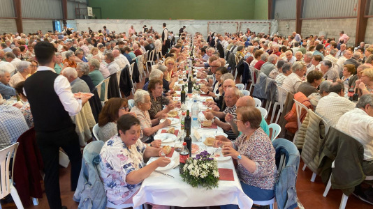 Fiesta mayores Cerceda (7)