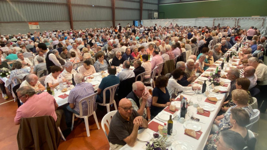 Fiesta mayores Cerceda (4)