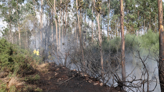 Incendio couso coristanco
