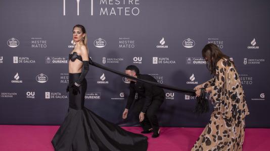 Premios Mestre Mateo (6)