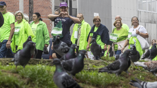 Andaina contra cancer carballo 24