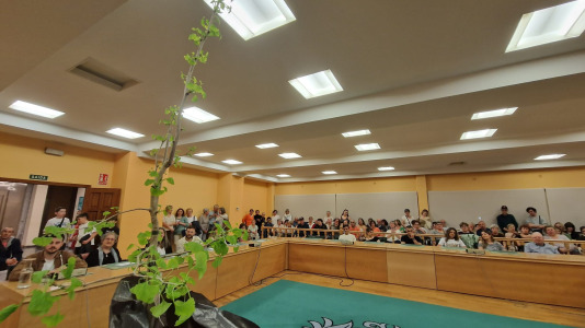 IMG 20240412 WA0018