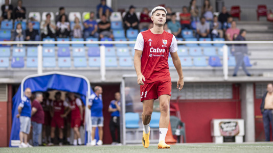 Presentacion bergan 4