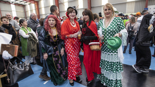 Cocido sofan 268