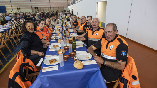 Festa maiores zas 31