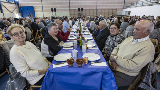 Festa maiores zas 19