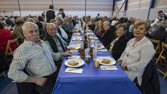 Festa maiores zas 24