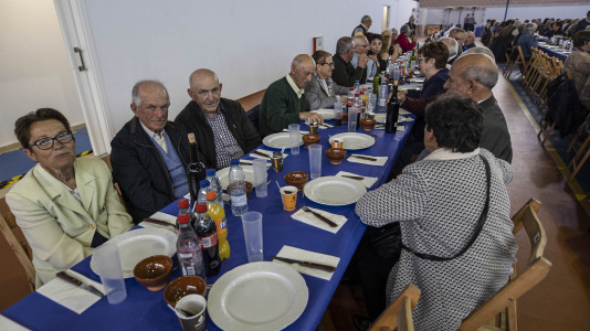 Festa maiores zas 13