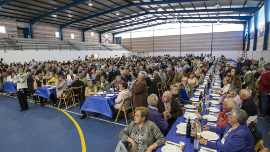 Festa maiores zas 1