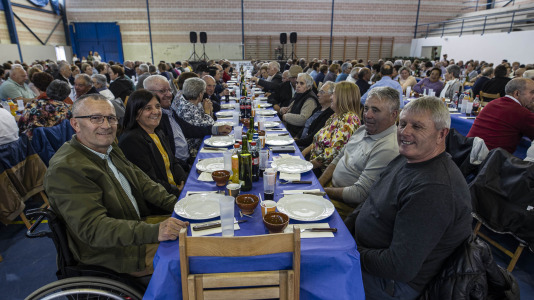 Festa maiores zas 21