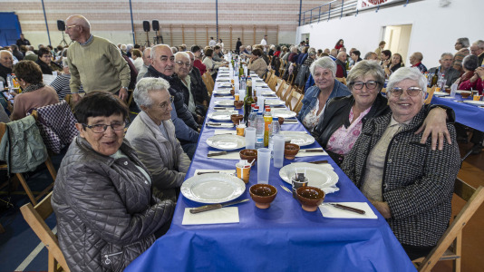 Festa maiores zas 14