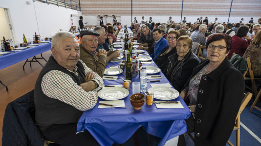 Festa maiores zas 15