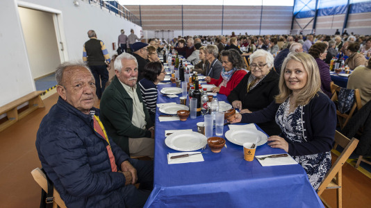 Festa maiores zas 12