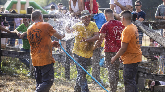 Rapa das bestas Vimianzo (46)