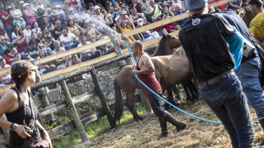 Rapa das bestas Vimianzo (48)
