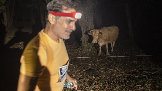 Trail Cova do Lobo @Raúl López (3)