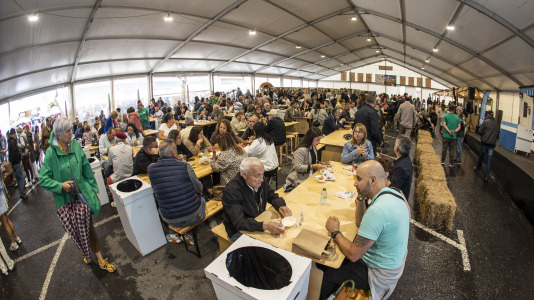 Festa da pataca 070