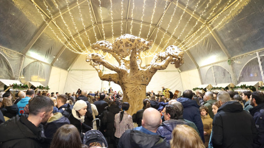 Encendido navideño en Carballo