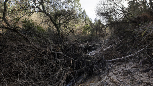 Rotura balsa Monte Neme